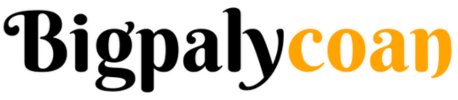 Bigpalycoan website logo